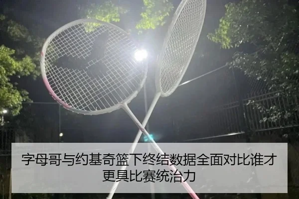 字母哥与约基奇篮下终结数据全面对比谁才更具比赛统治力